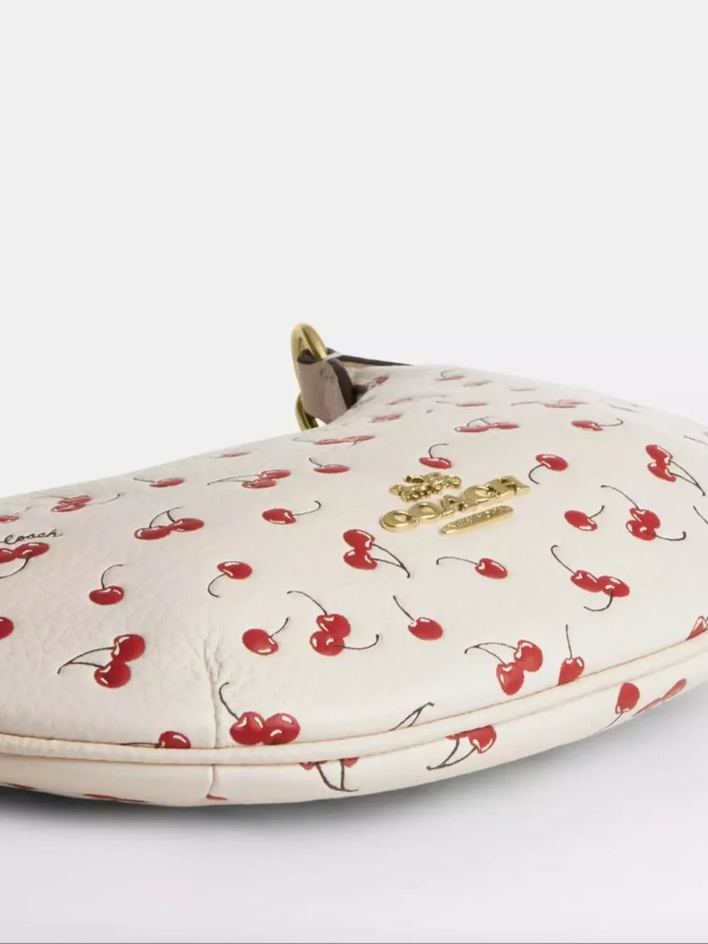 Mini Payton Bag With Cherry Print CFD04